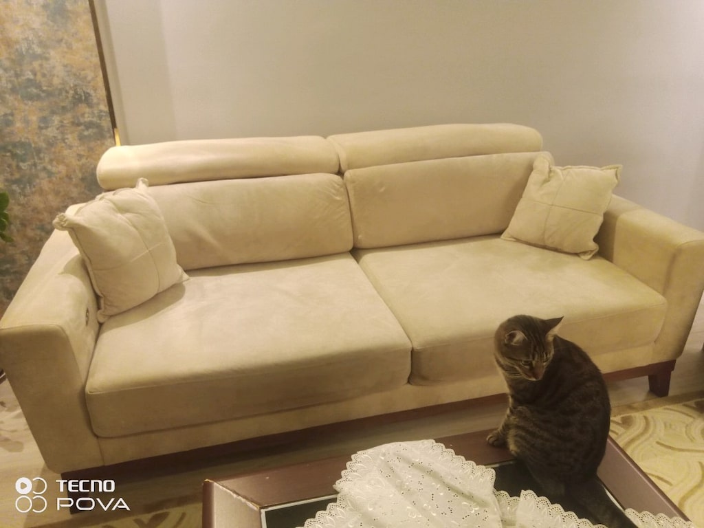 Acil ... Salon Takımı 2 adet üçlü 1 berjer - 4