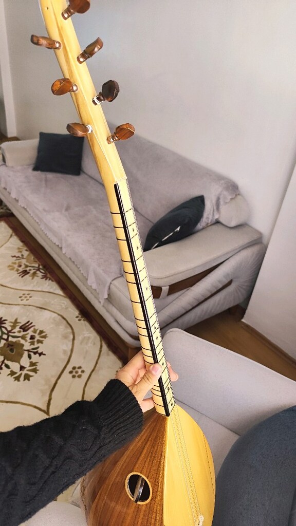 Tam Profesyonel Kısa Sap Bağlama - 2