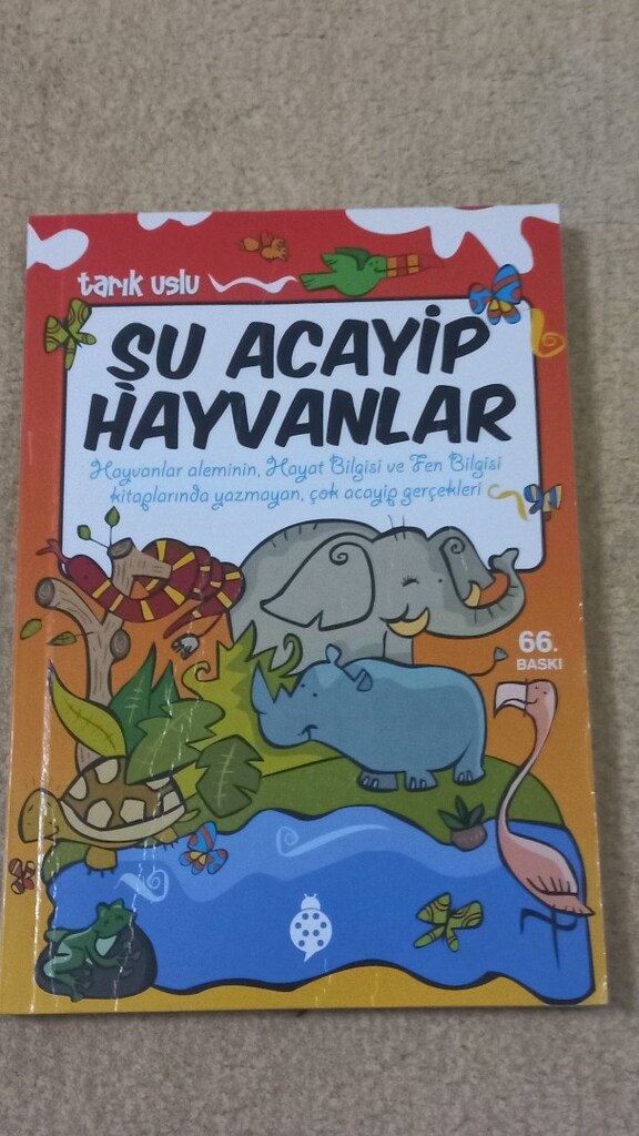Şu acayip set - 6