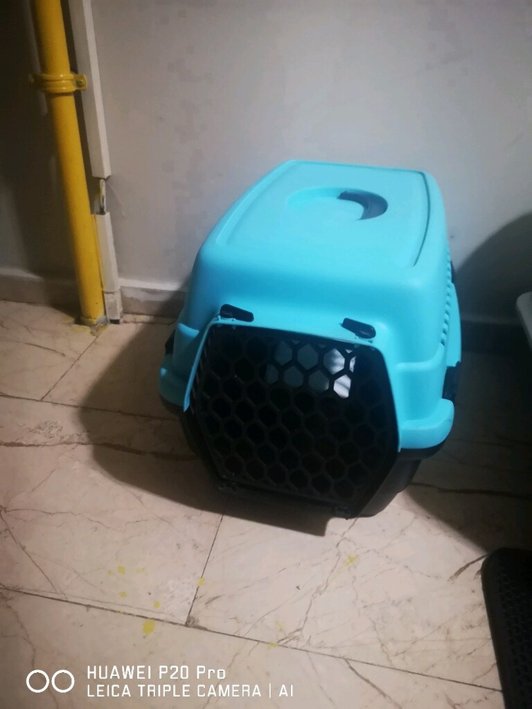 Kedi Ürünleri - 4