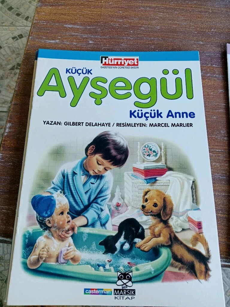 Ayşegül kitapları - 10