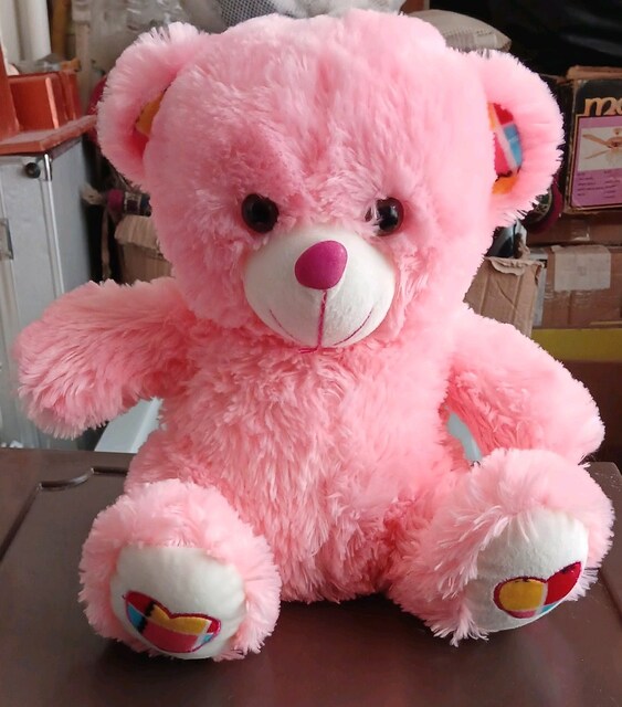 Pembe ayı