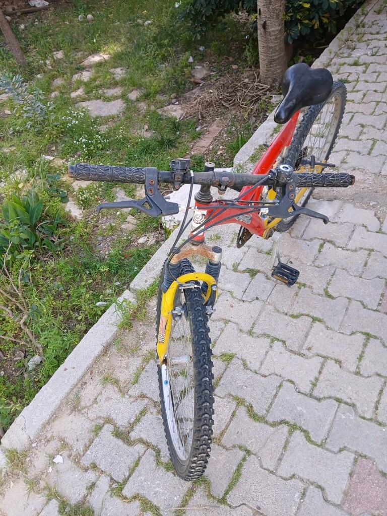 yetişkin bisikleti - 4