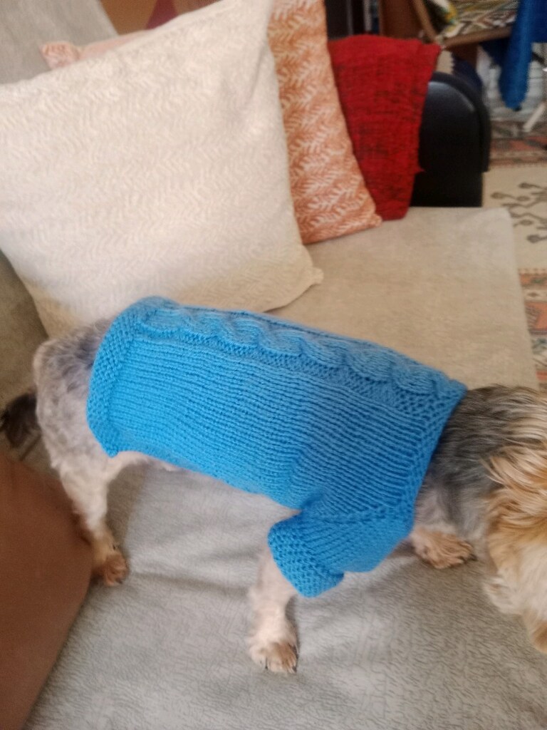 Köpek giyisisi S beden - 5