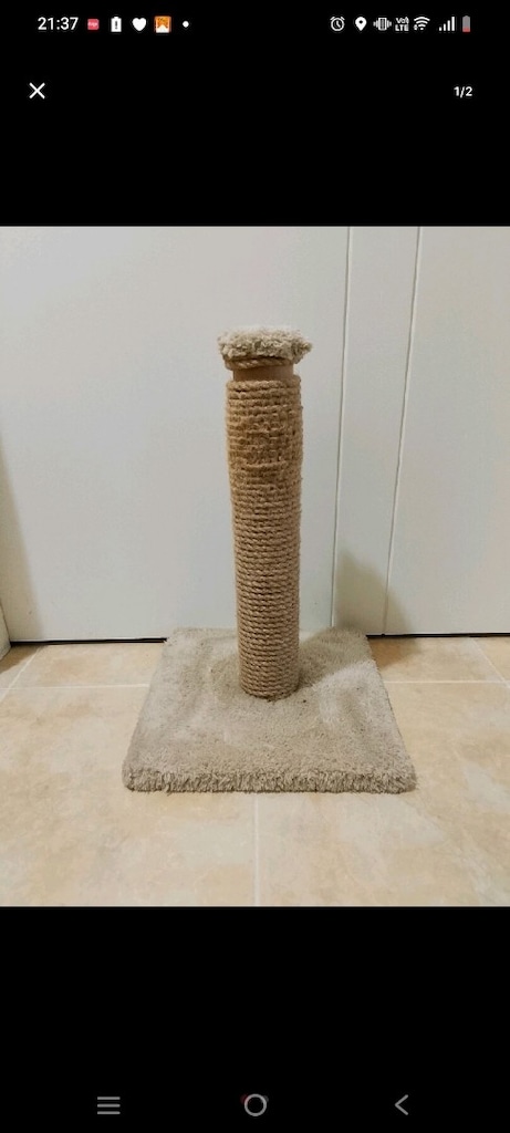 kedi taşıma kafesi ve tırmalama ağacı - 6