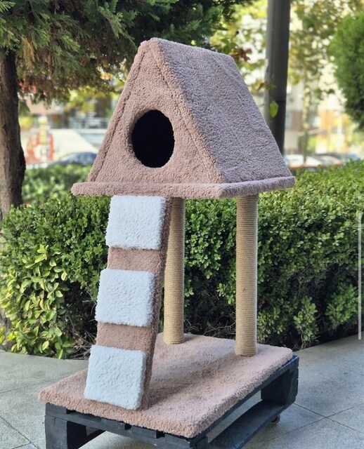 Kedi Tırmalama Evi