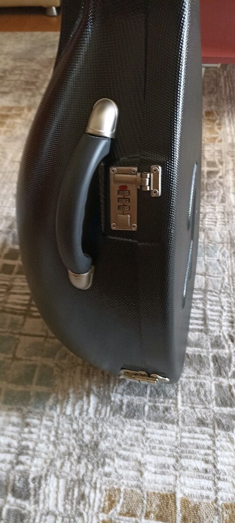 Vefa Aldemir - Ahmet Topan El Yapımı Ud + Hardcase - 9