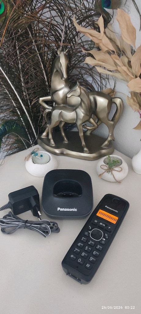 Panasonic Siyah Kablosuz Telefon - 2