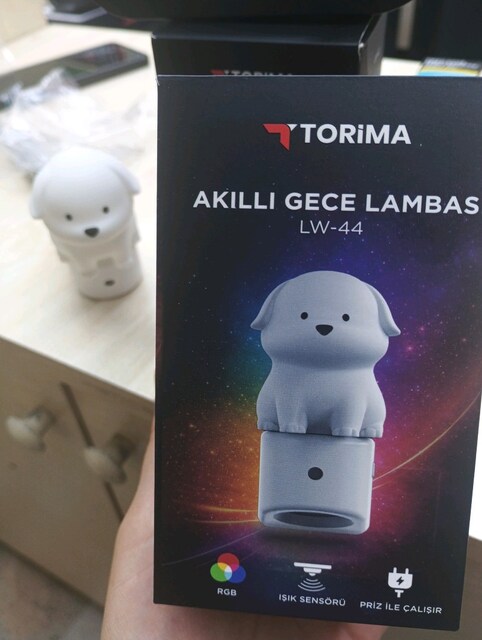 akıllı gece lambası