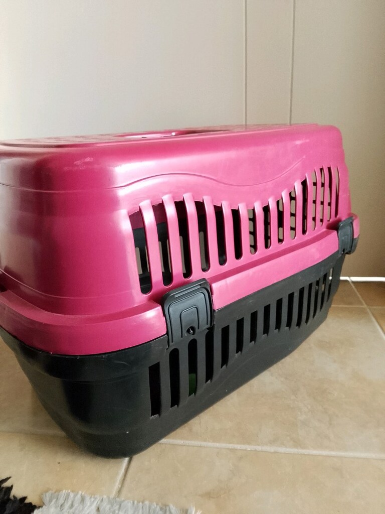 kedi taşıma kafesi ve tırmalama ağacı - 4