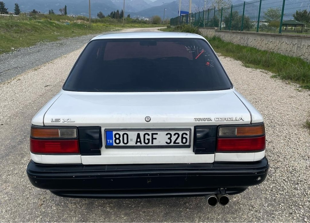 92 Fındık - 3