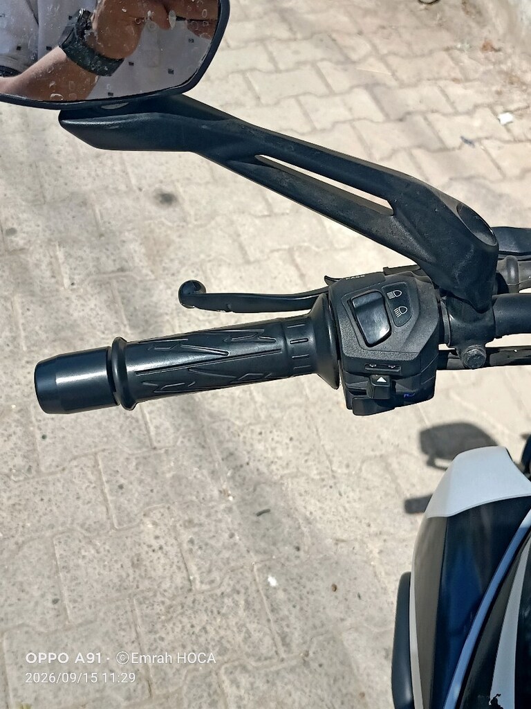 Bajaj Dominar - 12