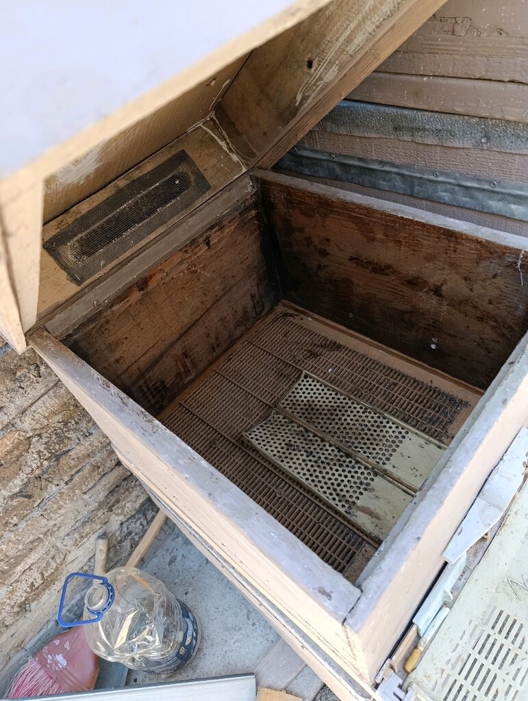 Arı kovanı - 2