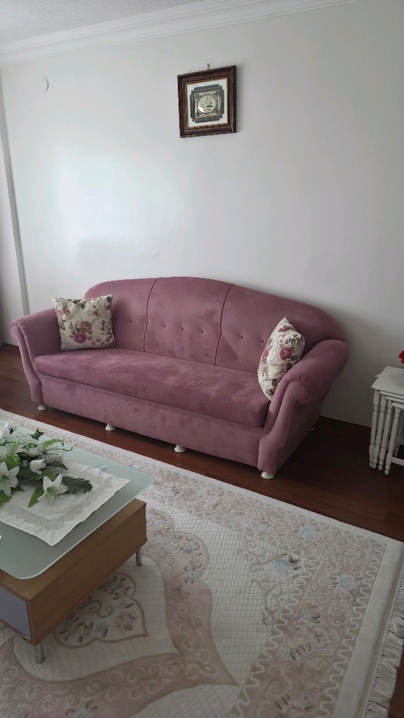 Koltuk Takımı + Halı + Perde - 3