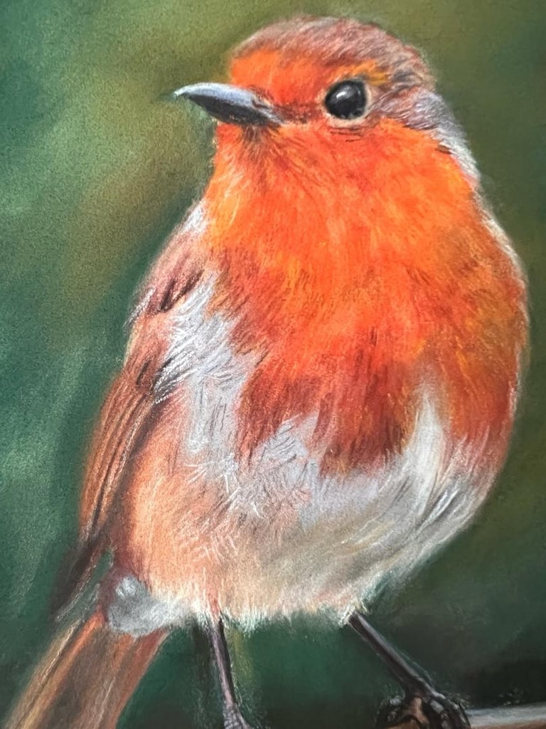 Orijinal Soft Pastel Kızılgerdan (Robin) Kuşu Tablosu 18x24 cm El Yapı - 9