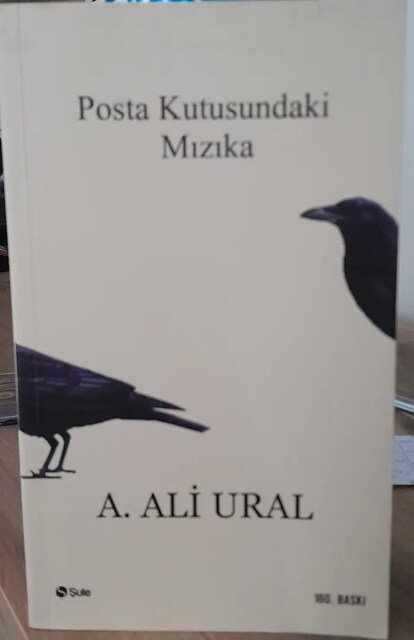Posta Kutusundaki Mızıka