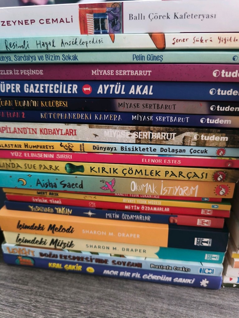 ilkokul ortaokul çocuk okuma kitapları roman hikaye kitapları behiç ak - 2
