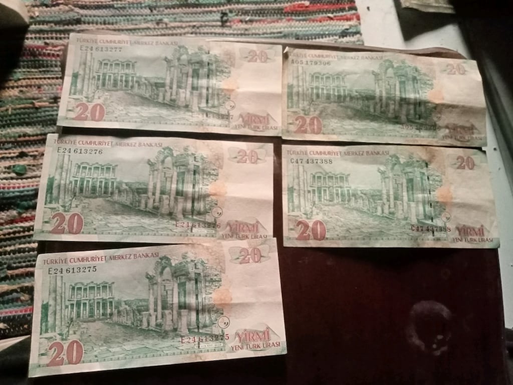 koleksiyonluk eski YTL paralar - 13