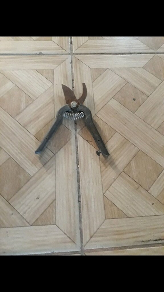 SAĞLAM SORUNSUZ TEMİZ BAHÇE BUDAMA MAKASI - 2