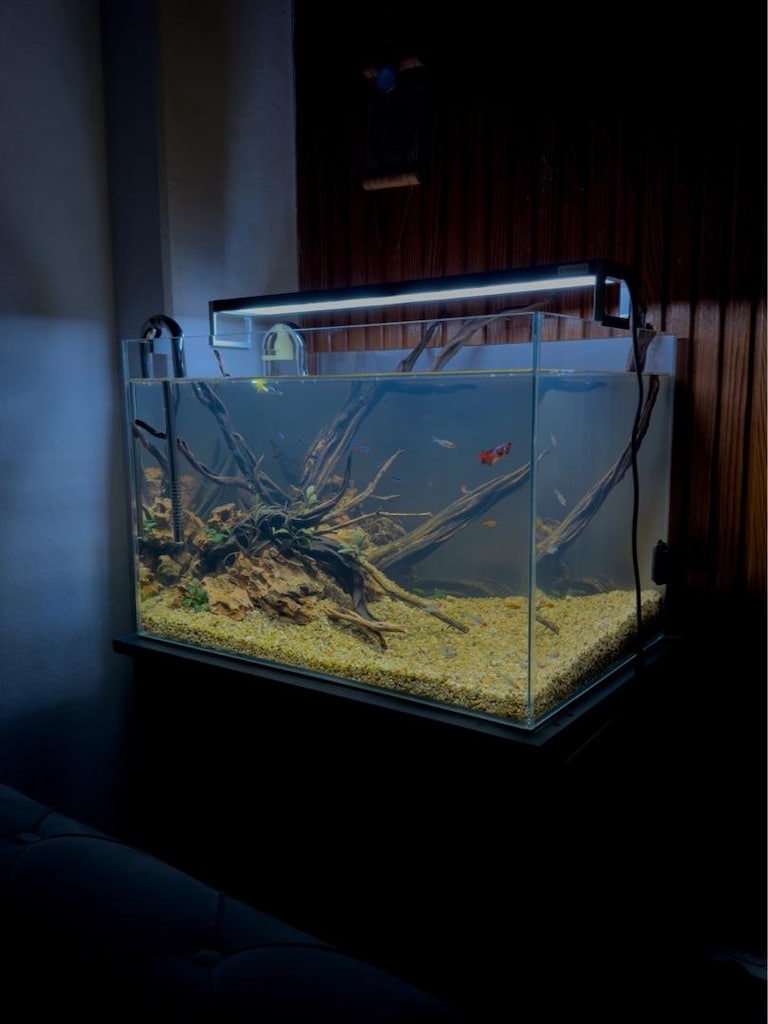 60*40*40 Creaqua crystal clear akvaryum - 2