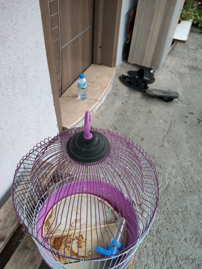 yüksekliği 45 cm genişliği 35 cm kuş kafesi - 3