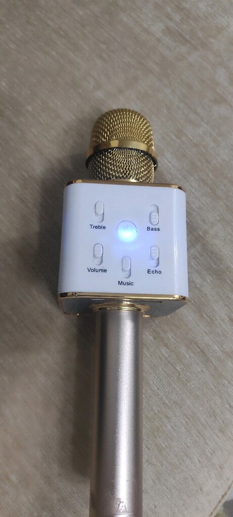 USB li şarzlı mikrafon - 2