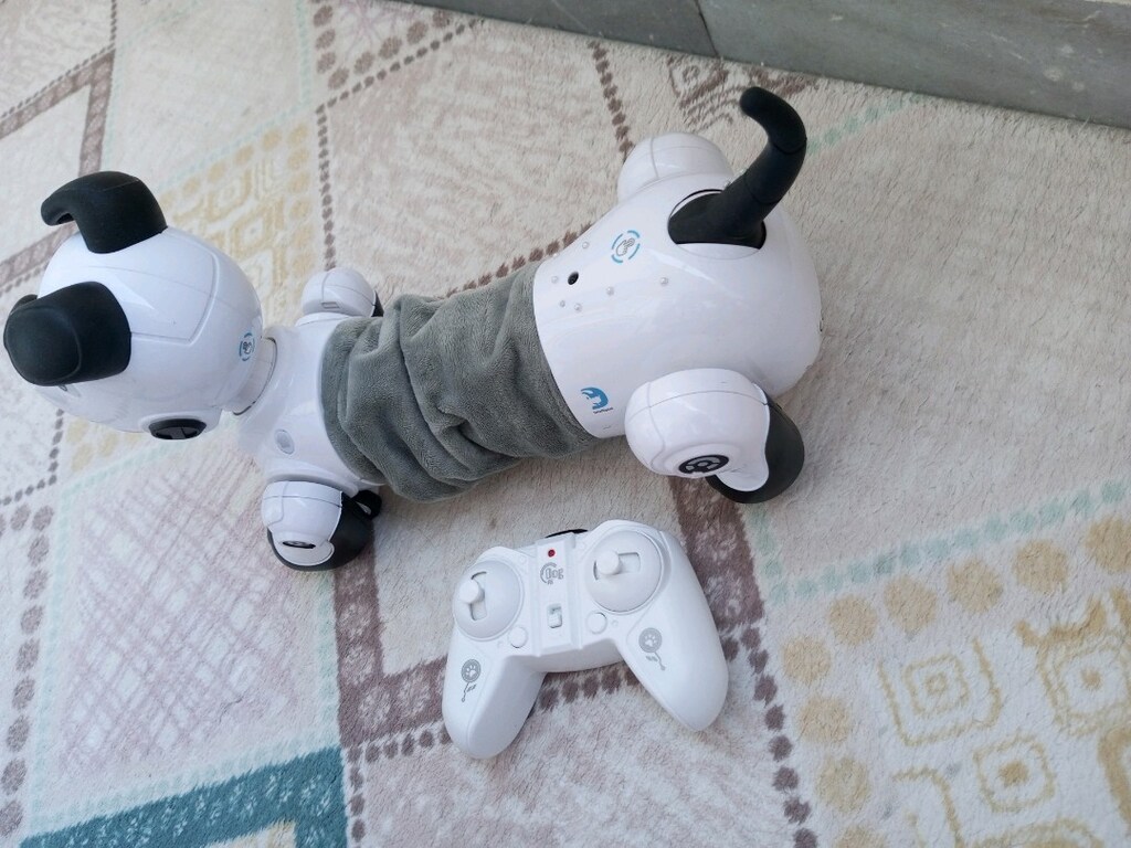 Robot köpek kumandalı - 4