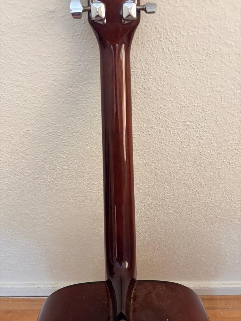 Ibanez Akustik Gitar - 9