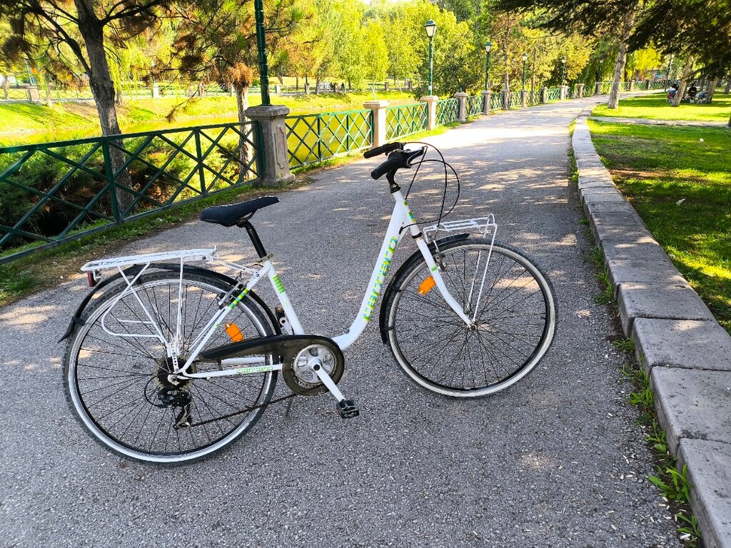 Carraro Julianna 28 Jant 7Viyes VB Temiz Şehir Bisikleti - 4