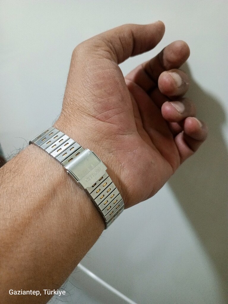 citizen ouartz japan yaprak kasa - 10
