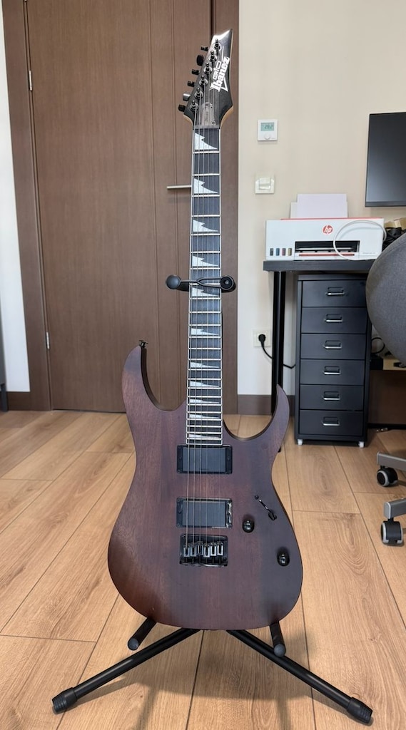 ibanez gio elektrogitar