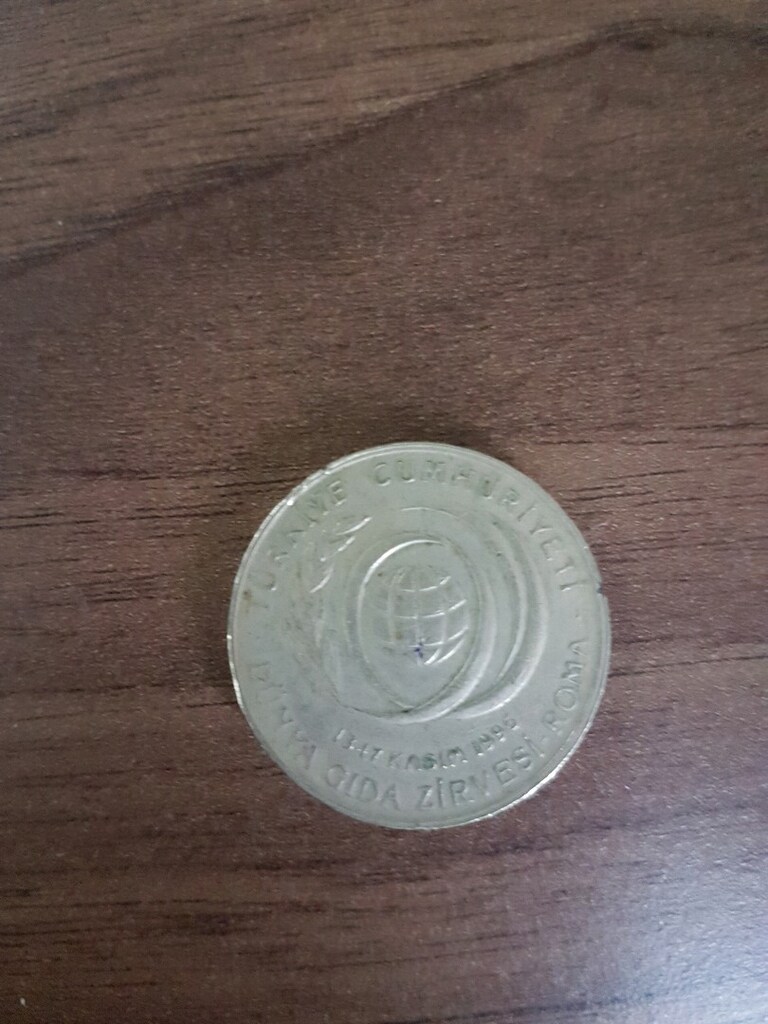 koleksiyonluk madeni para - 2