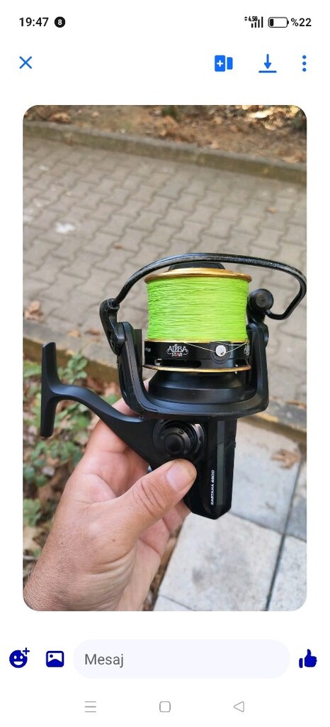albastar castana 6500 - 4