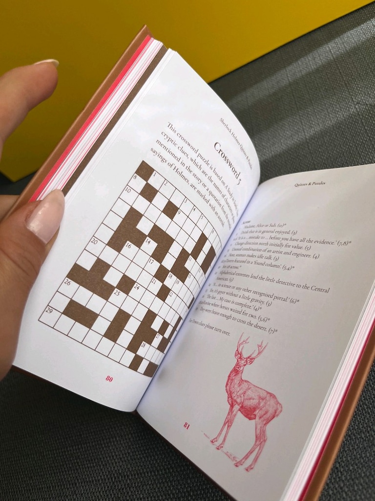 Sherlock Holmes Puzzle and Quizzes İngilizce Bulmaca Kitap - 7