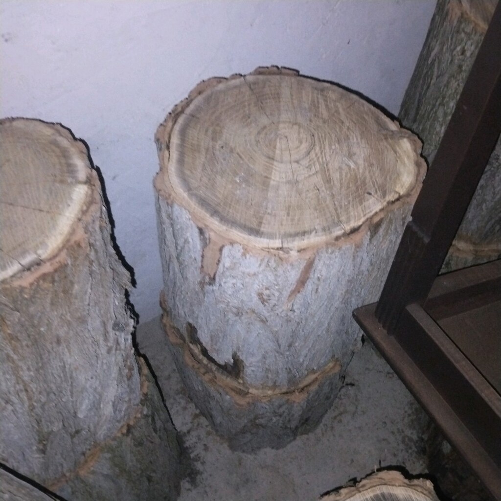 kütük tahta - 5