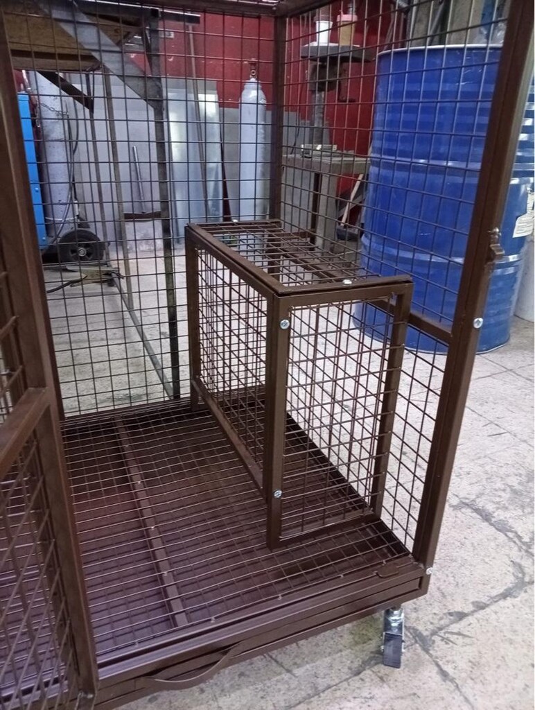 köpek boxı - 2