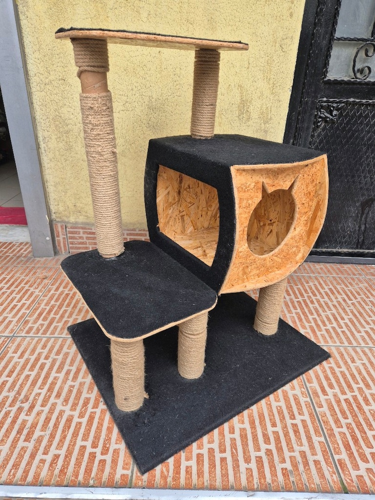 Kedi evi - 2