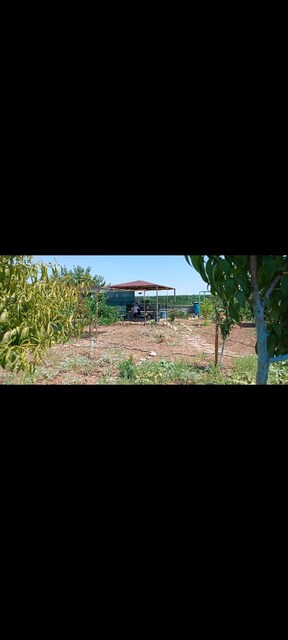 çok acil satılık binatlı köyüne hemen yakın kurulu bahçe