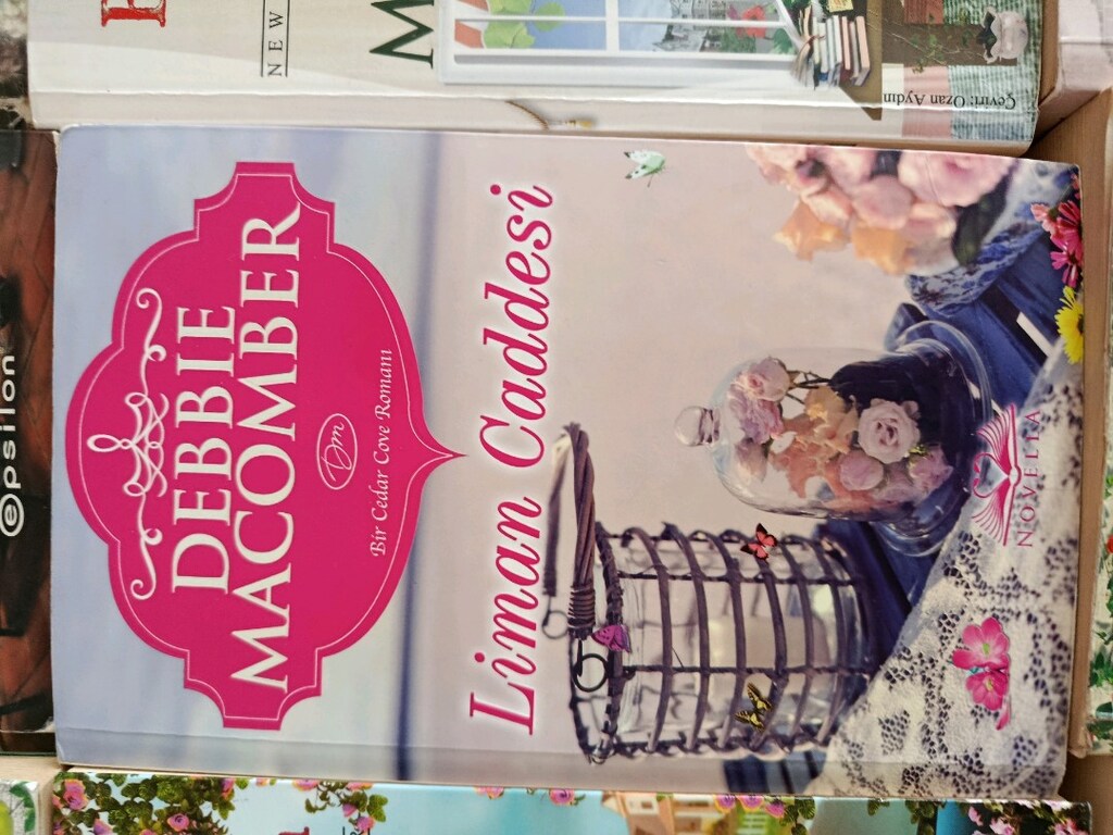 debbıe macomber tane fıyatıdır - 9
