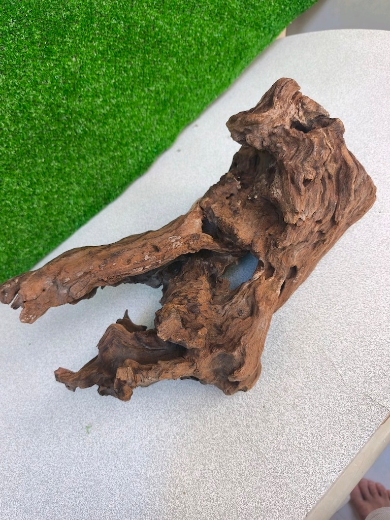 satılık iguana teraryum malzmeleri - 11
