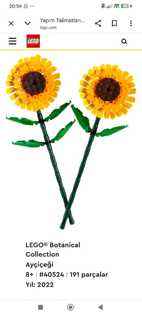 LEGO Botanicals Ayçiçeği (40524) + LEGO Uyumlu Dekoratif Vazo - 5