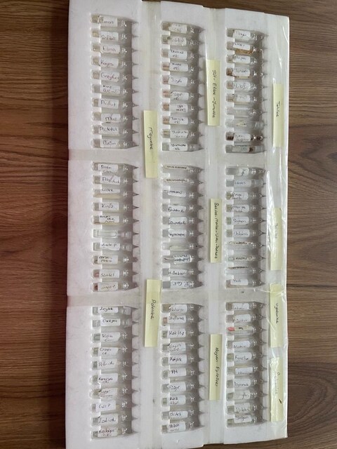biorezonans cihazı ana kit