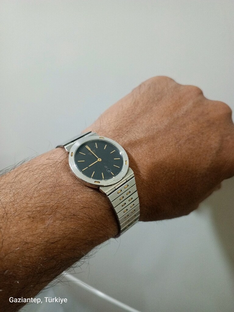 citizen ouartz japan yaprak kasa - 11