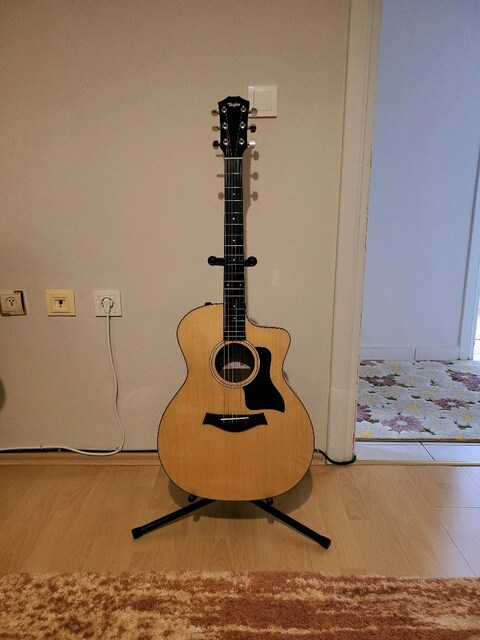 Taylor 214ce Plus Elektro Akustik Gitar