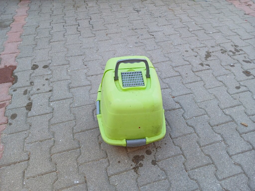 KEDİ. EVİ. YEP. YENİ. FAZLALIKTAN - 3