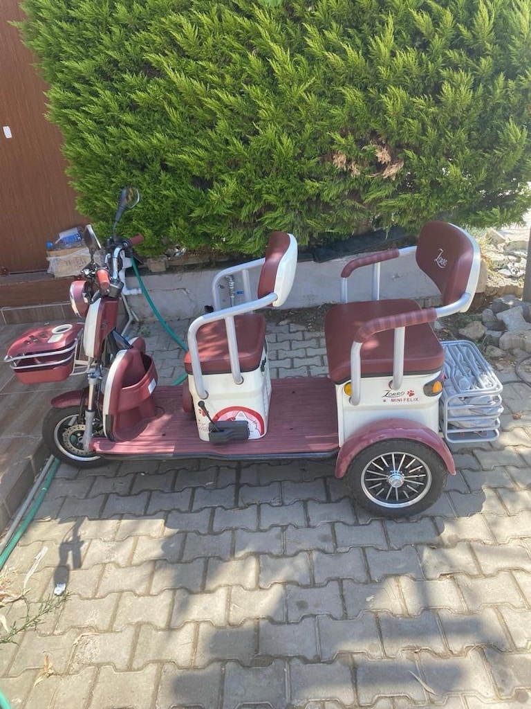 2026 Model Elektrikli Üç tekerlekli Motosiklet - 3