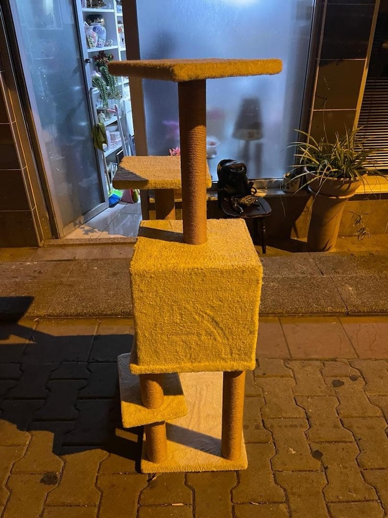 kedi Evi - 4