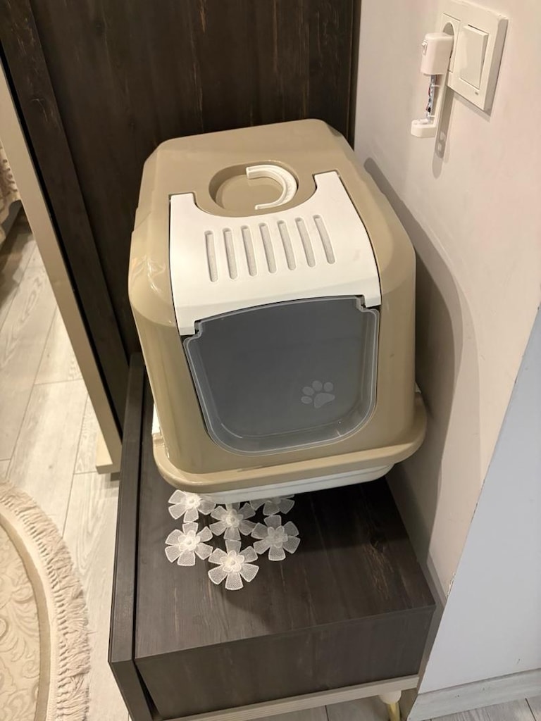 Eksiksiz Kedi Başlangıç Seti - 2