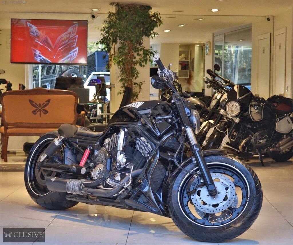 Harley Davidson V-rod vrsca FIRSAT fiyat! Haziran 15e kdr bu fiyat! - 3