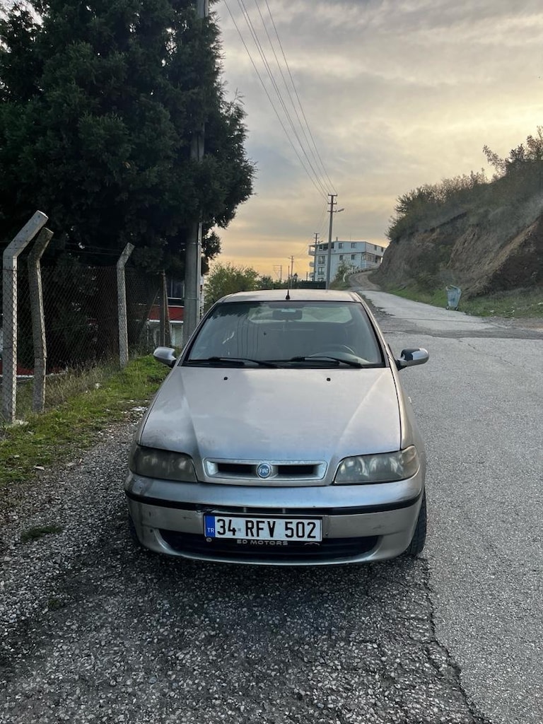 palio - 3